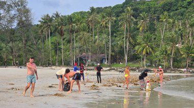 Koh Kood, Tayland, 13 Mart 2025. Müdahale edilen gönüllüler bir sahil temizliği, enkazın temizlenmesi ve el değmemiş kıyı şeridinin iyileştirilmesi için işbirliği yapıyorlar..