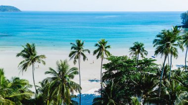 Tayland 'daki Koh Kood Adası' nın sakin güzelliğini keşfedin, el değmemiş beyaz kumların kristal berrak sularla buluştuğu yer. Bereketli palmiye ağaçları, tropikal esintide nazikçe sallanarak rahatlamaya yol açar..