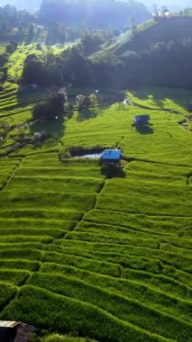 Chiang Mai 'nin sükunetini tecrübe edin. Canlı yeşil pirinç tarlalarını keşfederken, ilginç kulübelerle benekli..