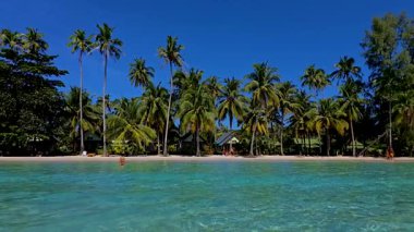 Koh Kood Tayland 'daki sakin kıyı şeridinde parlak mavi gökyüzünün altında uzun palmiye ağaçları bulunuyor. Güneş banyosu yapanlar sıcak ve davetkar suların tadını çıkarırlar ve mükemmel bir tropikal kaçış atmosferi yaratırlar..
