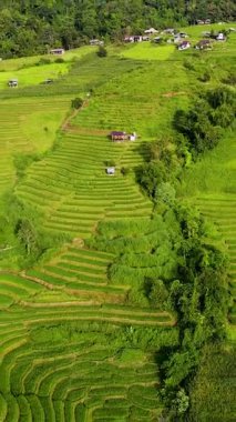 Tayland 'daki Chiang Mai' nin nefes kesici manzarasını tecrübe edin. Uçsuz bucaksız pirinç tarlalarının dalgalı tepeler boyunca uzandığı yer..
