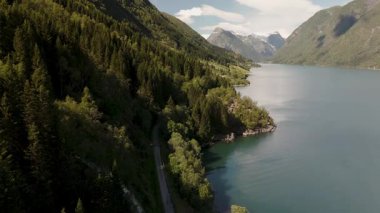 Norveç 'te sakin bir fiyordun kıyısındaki sık bir ormandan geçen dolambaçlı bir yolun hava görüntüsü. Çevresindeki dağlar yemyeşil, Fjaerlandsfjorden, Fjord, Vestland, Norveç ile kaplıdır.