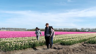 Urk, Hollanda, 20 Nisan 2025 Asyalı turist lale çiçeği tarlalarında poz veriyor, Hollanda 'da tatil sırasında fotoğraf çekiyor, ziyaretçiler şaşırtıcı laleler arasında geziniyor 