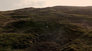 Norveç 'in nefes kesici kıvrımlı tepelerini keşfedin. Yumuşak yamaçların canlı yeşilliklerle buluştuğu. Kuzey Burnu 'nda altın saat boyunca otlayan ren geyikleri engin, sakin bir gökyüzünün altındaki manzarayı noktalıyor.