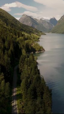 Norveç 'te sakin bir fiyordun nefes kesici manzarası, kıyı şeridi boyunca canlı ormanlar ve arka planda görkemli dağlar. Huzurlu su manzaranın doğal güzelliğini yansıtır..