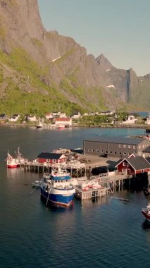Norveç 'teki canlı liman iskeleye yanaşmış renkli balıkçı tekneleriyle dolu. Arka planda yükselen görkemli dağlar, bu kıyı köyü Reine Lofoten Norveç 'in doğal güzelliklerini yakalıyor.