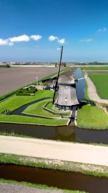 Hollanda topraklarında büyüleyici bir yel değirmeni eşliğinde canlı laleler sergileniyor..