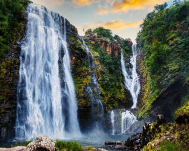 Mpumalanga 'nın 94 metre yüksekliğindeki en yüksek şelalesi Lisbon Falls' u keşfedin. Yeşilliklerle çevrili, çağlayan suları çarpıcı Panorama Yolu 'nda sakin bir atmosfer yaratıyor..