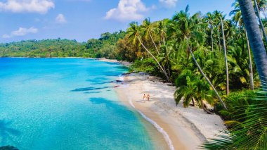 İki birey, canlı palmiye ağaçlarıyla çevrili tenha bir sahilde sıcak güneşin tadını çıkarırlar. Turkuaz sular yumuşak kumda nazikçe tur atar ve mükemmel bir tropik kaçış yolu yaratır Koh Kood Tayland