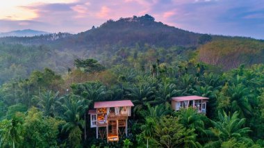 Canlı yeşil yaprakların arasına yerleşmiş iki büyüleyici ağaç evi Tayland veya Bali 'nin göbeğinde huzurlu bir geri çekilme sunuyor..