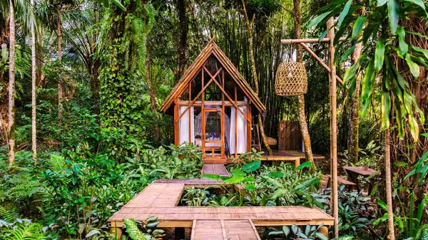 Canlı yağmur ormanlarına yerleşmiş bu bambu kulübesi, zengin yeşilliklerle çevrili, huzurlu bir kaçış sunuyor..
