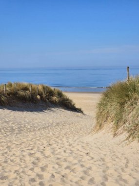 Hollanda 'da barışçıl bir plaja uzanan sakin bir patika altın kum tepeleri boyunca esiyor. Durgun deniz, berrak mavi gökyüzü ile güzel bir tezat oluşturuyor. Rahatlamaya davet ediyor..