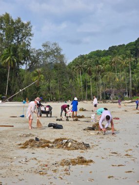 Koh Kood, Tayland, 13 Mart 2025, adanmış gönüllüler kumlu sahillerde toplanarak deniz yosunu ve enkazı temizliyorlar. ve çöp.