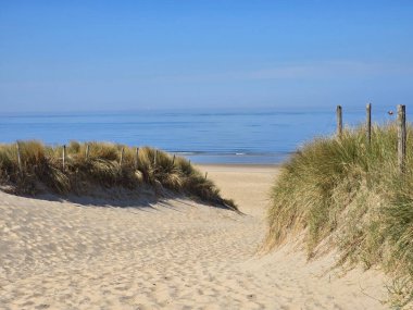 Hollanda manzarası boyunca uzanan canlı lale tarlaları çarpıcı bir renk dizisi içinde çiçek açarak dünyanın dört bir yanından ziyaretçileri cezbediyor..