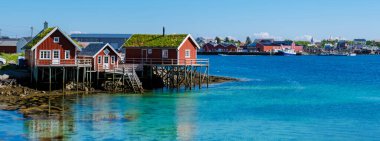 Yeşil çatıları olan parlak kırmızı kulübeler Norveç 'in huzurlu kıyı şeridini kaplar. Açık mavi gökyüzü ve sakin deniz, Reine Lofoten Norveç 'teki bu cennet manzarası için güzel bir zemin oluşturur.