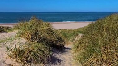 Danimarka 'nın Romo Lakolk plajındaki sakin kum tepelerinde huzurlu bir gezintinin tadını çıkarın. Yumuşak kumların sakin denizle buluştuğu yerde. Canlı yeşillik huzurlu sahil deneyimine katkı sağlar..