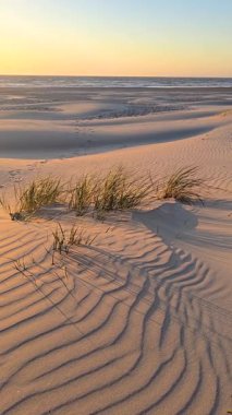 Danimarka 'nın Jutland kentindeki Lakolk Otomobil Sahili' nin sakin güzelliğini keşfedin. Nazik dalgaların altın kumlarla buluştuğu yer. Kum tepeleri ve deniz otları güneş batarken yavaşça sallanarak sakin bir atmosfer yaratırlar..