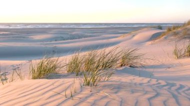 Danimarka 'nın Jutland sahilindeki Lakolk plajının huzurlu güzelliğini tecrübe edin. Altın saat kumulların üzerinde sıcak bir parıltı saçar, deniz kenarında rahatlama ve yansıma için resim gibi bir ortam yaratır..