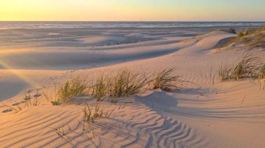 Altın güneş ışığı Danimarka 'nın Jutland kentindeki Lakolk plajının sakin kumlarını yıkıyor. Dalgalar sahili öperken, uzun otlar sallanır. Resimli bir an, doğanın güzelliğini yakalıyor..