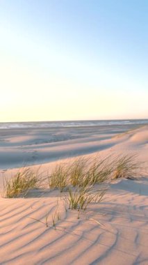 Danimarka 'nın Jutland kentindeki Lakolk sahilinin dingin güzelliğini gün doğumunda tecrübe edin. Hafif dalgalar kumlu sahili okşar. Kıyı otları rüzgarda sallanırken barışçıl bir atmosfer yaratır..