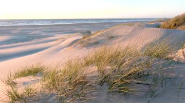 Lakolk araba plajının sakin atmosferini deneyin. Yumuşak kum tepeciklerinin gün batımının altın ışığı altında nazik dalgalarla buluştuğu yer..