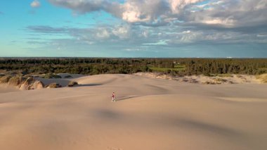 Danimarka, Jutland 'ın nefes kesici kum tepelerinde dolaşın. Yuvarlanan tepelerin yemyeşil bir manzarayla buluştuğu yerde. Rabjerg Mil kum tepeleri