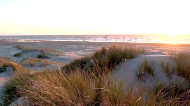 Altın güneş ışığı Jutland 'deki Lakolk araba plajında esintide sallanan kum tepelerini yıkıyor. Ritim dalgaları huzurlu bir atmosfer yaratıyor. Rahatlamak ve keşfetmek için mükemmel..