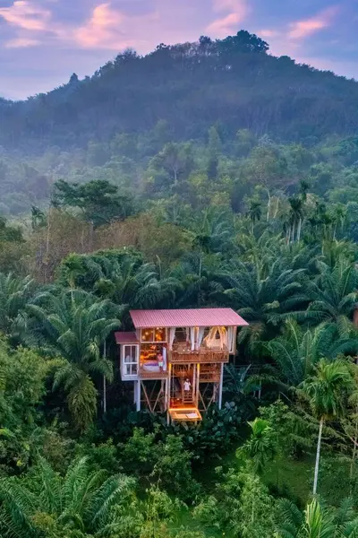 Titrek palmiye ağaçlarının arasına yerleştirilmiş bu sakin ağaç evi rahat iç mekanlar ve çarpıcı manzaralar sunuyor. Balis tropik cennetinin el değmemiş vahşi doğasında rahatlama ve macera..