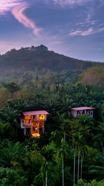 Işıl ışıl yeşillikte yuva yapmış iki büyüleyici villa, alacakaranlıkta orman manzarasını saran sıcaklığı yayıyor. Sahne, doğanın sükunetini yakalar, rahatlamayı ve macerayı davet eder..