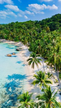 Uzun palmiye ağaçlarıyla kaplı tenha tropikal bir sahilin nefes kesici manzarası. Yumuşak dalgaların beyaz kumda nazikçe dolaştığı bir yer. Canlı yeşil tepeler arka planda yükseliyor. Tayland 'da açık mavi bir gökyüzünün altında.