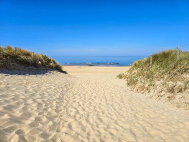 Yumuşak kumulların Hollanda 'da nefes kesici bir sahile giden yolu göstermesiyle dinginlik artar. Sakin okyanus dalgaları, rahatlamak için mükemmel mavi gökyüzünün altında yavaşça kıyıları öpüyor..