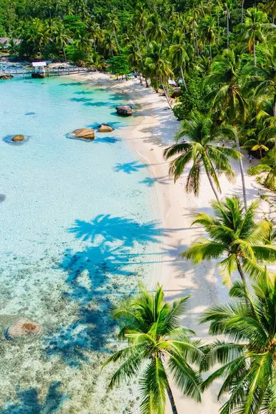 Yumuşak beyaz kumları ve sallanan palmiyeleriyle çarpıcı tropik bir sahil Koh Kood Tayland 'ın canlı gök mavisi sularına kurulmuş.