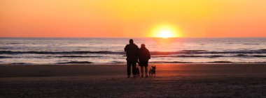 Bir çift gün batımında Danimarka 'da sakin bir plaj boyunca köpekleriyle el ele yürür. Gün batımının ılık renkleri sakin denizi yansıtıyor, Vejers Strand plajı.