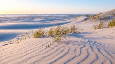 Günbatımında Danimarka 'da sakin bir kıyı manzarası keşfedin. Çimlerle süslenmiş yumuşak kum tepeleri. Gökyüzü ılık renklere geçerken kıyı şeridinde hafif dalgalar çakışır. Blokhus Strand Sahili
