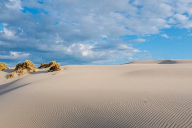 Kum tepeleri Danimarka kıyı şeridi boyunca uzanır, otlarla süslenir. Canlı mavi gökyüzü ve yumuşak bulutlar güneşli bir günde sakin bir atmosfer yaratır. Rabjerg Mil 'in kum tepeleri