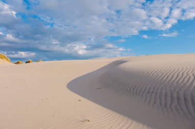Arazi boyunca uzanan altın kum tepecikleri, mavi gökyüzünde kabarık beyaz bulutlar, Danimarka Rabjerg mil kum tepelerini keşfeden doğa aşıkları için mükemmel sakin bir atmosfer yaratıyor.