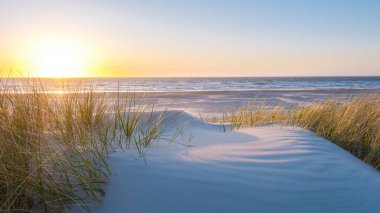Altın güneş ışınları Danimarka 'nın Vejers Strand kentindeki sakin plajı aydınlatır. Yumuşak kum tepeleri plaj çimenleri ılık esintide hafifçe sallanıyor
