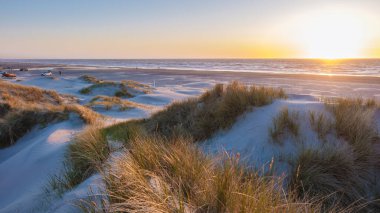 Güneş ışığı, Danimarka 'nın sakin plajında, yemyeşil çimlerle süslenmiş yumuşak kum tepelerini aydınlatıyor. Dalgalar yavaşça kıyı şeridine vurur, Vejers Strand
