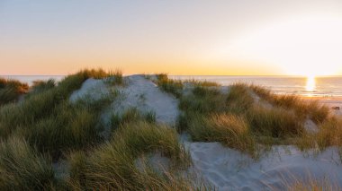 Batan güneşin yumuşak ışığı, yemyeşil çimlerle çevrili kumulların üzerine sıcak bir parıltı saçar. Huzurlu atmosfer, Danimarka kıyı manzarasının güzelliğini yansıtıyor. Rahatlamayı davet ediyor..