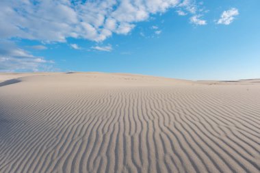 Danimarka 'da geniş kumullar parlak mavi bir gökyüzü altında uzanıyor. Yumuşak kum dalgaları büyüleyici desenler yaratır, ziyaretçileri bu sakin manzarayı keşfetmeye davet eder. Rabjerg mil kum tepeleri