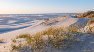 Altın güneş ışığı yumuşak kum tepelerinin üzerine sıcak bir parıltı saçar, narin otlar kıyı esintisinde hafifçe sallanır. Huzurlu okyanus dalgaları kıyıya vuruyor, Vejers Strand, Danimarka
