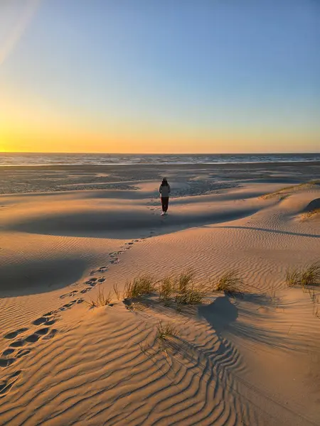 Yalnız bir gezgin, güneş ufukta batarken Danimarka kıyı şeridi boyunca uzanan kumlu kumullarda sakin bir akşam yürüyüşünün tadını çıkarıyor. Manzara huzur ve doğal güzellik yayar..