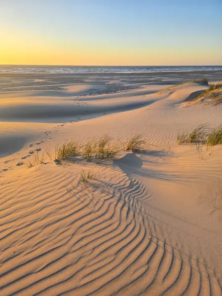 Güneş Danimarka 'nın pitoresk kum tepelerinin üzerinde batarken kumlu sahilde hafif dalgalar çakışıyor. Çimenler ılık meltemde hafifçe sallanarak doğa severler için sakin bir kaçış yaratır..