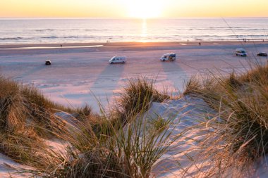 Danimarka 'nın sakin plajına altın güneş ışığı yayılıyor ve araçlar yakınlarda park halindeyken kumun üzerine sıcak renkler dökülüyor. Rahatlamak ve Vejers Strand sahilinin tadını çıkarmak için mükemmel bir akşam.