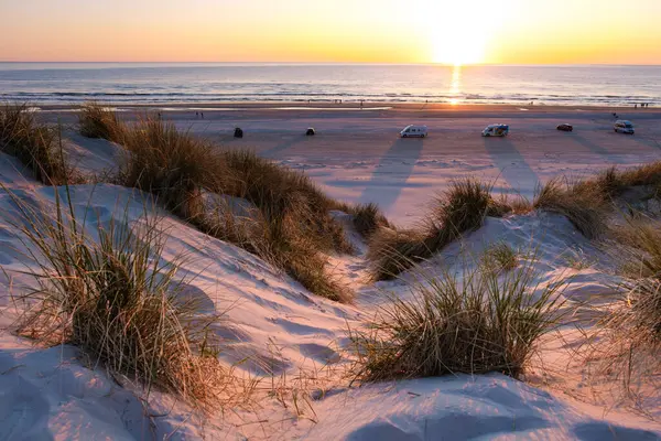 Güneş, Danimarka 'nın Vejers Strand plajındaki sakin plajın üzerinde yavaşça batıyor. Kum tepelerine sıcak bir parıltı saçıyor. Kıyı boyunca park halindeki araçlar, ziyaretçileri çarpıcı manzaranın tadını çıkarmaya davet ediyor. 