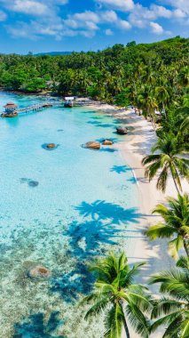 Bereketli palmiye ağaçları ve canlı mavi sularla çerçevelenmiş pitoresk beyaz kumlu bir sahil rahatlamaya davetiye çıkarır. Huzurlu sahne, sahile gidenler için mükemmel. Güneşin tadını çıkarıyorlar, doğal güzelliklerle çevrili..