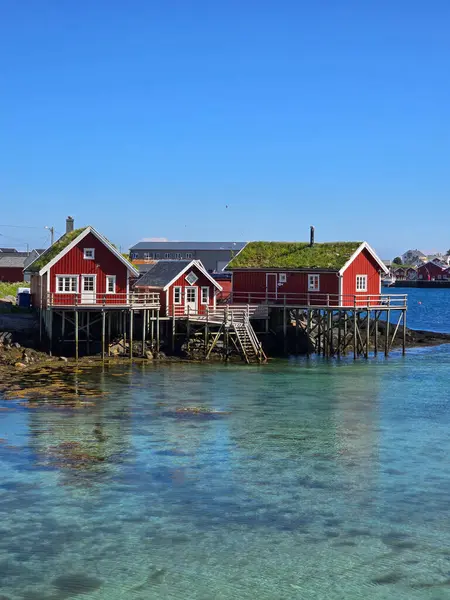 Yeşil çatıları olan büyüleyici kırmızı kamaralar Lofoten Norveç 'teki berrak suların üzerinde duruyor. Bu pitoresk ortam, gezginleri İskandinav kıyı yaşamının sihrini deneyimlemeye davet ediyor..