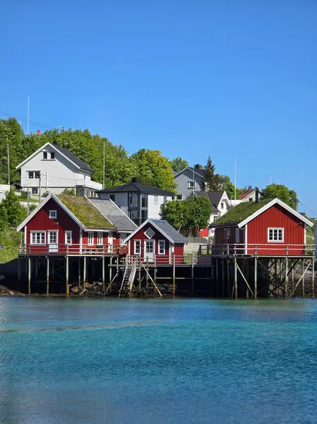 Renkli kırmızı kulübeler ayaklıkların üzerinde duruyor. Arka planda yemyeşil yemyeşil sulara bakan sakin mavi sulara bakıyor. Bu resim gibi sahne Lofoten Norveç 'in güzelliğini yansıtıyor.