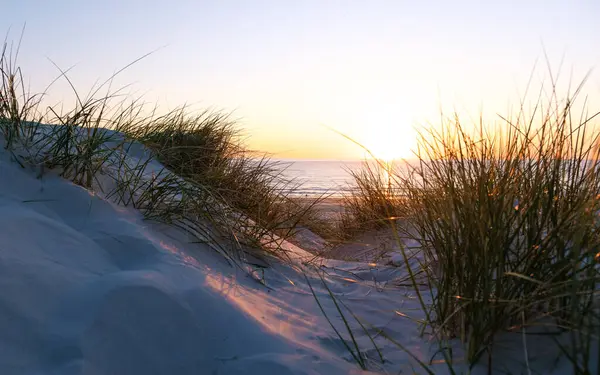 Büyüleyici bir günbatımı, Danimarka 'nın Vejers Strand sahilindeki sakin bir plajda batarken gökyüzünü sıcak renklerle boyuyor. Yumuşak kum tepecikleri çimlerle süslenir ve güzel bir ön plan oluşturur.