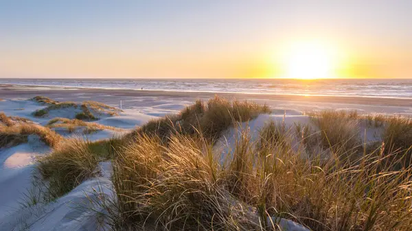 Sıcak güneş ışığı, Danimarka 'nın Vejers Strand kentindeki sakin bir kıyı şeridine yumuşak kum tepelerini ve ritmik dalgaları aydınlatan bir altın rengi yansıtıyor. Rahatlamak ve düşünmek için mükemmel huzurlu bir an..